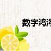 數字鴻溝產生的原因（數字鴻溝）