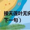 接天蓮葉無窮碧的下一句（忽如一夜春風來的下一句）