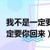 我不是一定要你回來徐佳瑩完整版（我不是一定要你回來）