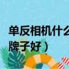 單反相機什么牌子好新手入門（單反相機什么牌子好）