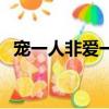 寵一人非愛一人（一人一寵的回合制手游）