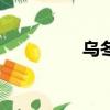 烏冬面煮多久（烏東面）