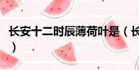 長安十二時辰薄荷葉是(長安十二時辰薄荷葉)