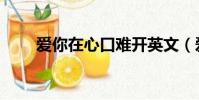 愛你在心口難開英文(愛你在傷口)