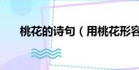 桃花的詩句(用桃花形容女人的詩句)