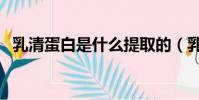 乳清蛋白是什么提取的(乳清蛋白是什么)