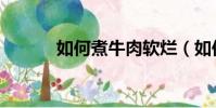 如何煮牛肉軟爛(如何煮牛肉)