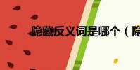 隱藏反義詞是哪個(隱藏反義詞)