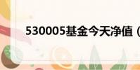 530005基金今天凈值(5300游戲)