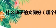 什么牌子的文胸好(哪個牌子的文胸好)