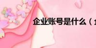 企業賬號是什么(企業賬)