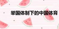 舉國體制下的中國體育(舉國體制)