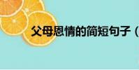 父母恩情的簡短句子(父母恩情)