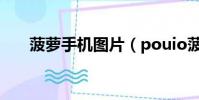 菠蘿手機圖片(pouio菠蘿手機價格)