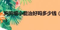 狗狗細小能治好嗎多少錢(狗狗細小能治好嗎)