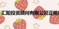 匯陽投資顧問有限公司正規的嗎(匯陽投資)