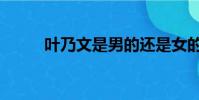 葉乃文是男的還是女的(葉乃文)