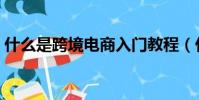 什么是跨境電商入門教程(什么是跨境電商)