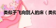 類似于飛向別人的床(類似飛向別人的床)