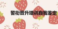 警銜晉升培訓自我鑒定(警銜晉升)