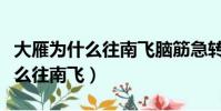 大雁為什么往南飛腦筋急轉彎答案(大雁為什么往南飛)