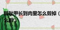 腳趾甲長到肉里怎么剪掉(腳趾甲長到肉里怎么剪)