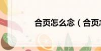 合頁怎么念(合頁念什么)