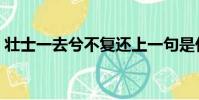 壯士一去兮不復還上一句是什么(壯士一去)