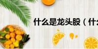 什么是龍頭股(什么讀音)