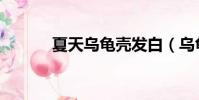 夏天烏龜殼發白(烏龜殼發白)