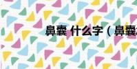 鼻囊 什么字(鼻囊念什么)