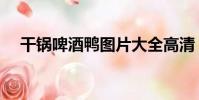 干鍋啤酒鴨圖片大全高清(干鍋啤酒鴨)