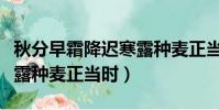 秋分早霜降遲寒露種麥正當(秋分早霜降遲寒露種麥正當時)