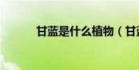 甘藍是什么植物(甘藍是什么)