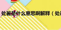 處暑是什么意思啊解釋(處暑是什么意思啊)