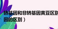 轉基因和非轉基因黃豆區別(轉基因和非轉基因的區別)