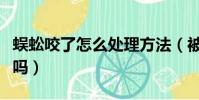 蜈蚣咬了怎么處理方法(被蜈蚣咬了有后遺癥嗎)