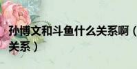 孫博文和斗魚什么關系啊(孫博文和斗魚什么關系)