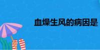 血燥生風的病因是(血燥)