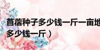 苜蓿種子多少錢一斤一畝地多少斤(苜蓿種子多少錢一斤)