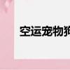 空運寵物狗需要什么手續（空運寵物）
