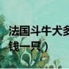 法國斗牛犬多少錢一只純種（法國斗牛犬多少錢一只）