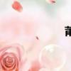 莆田鞋網（莆田鞋）