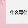 什么罵什么成語（罵什么什么什么）