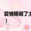 愛情睡醒了主題曲英文版（愛情睡醒了主題曲）