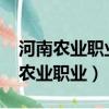 河南農業職業學院什么時候開學2023（河南農業職業）