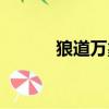 狼道萬象破解器（萬象破解王）