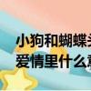 小狗和蝴蝶頭像在愛情里什么意思（1831在愛情里什么意思）