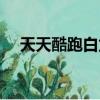 天天酷跑白龍馬配飾（天天酷跑白龍馬）