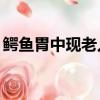 鱷魚胃中現老人遺骸（鱷魚上單20應多少刀）